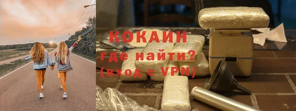 мет Ельня