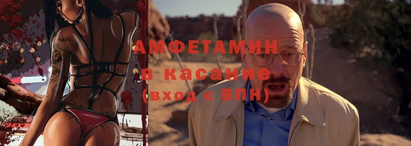 прущие грибы Дмитров