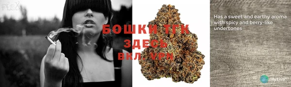 стафф Елизово