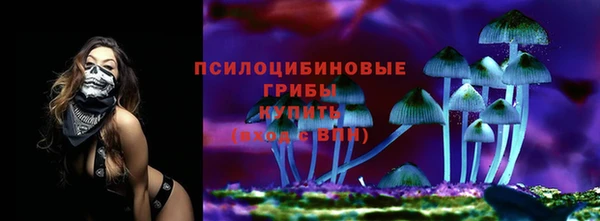 прущие грибы Дмитров