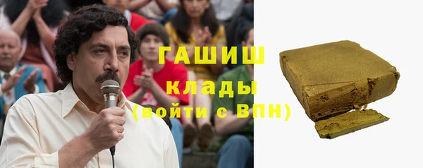 мет Ельня