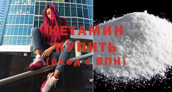 прущие грибы Дмитров