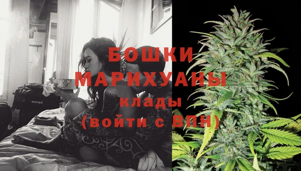 прущие грибы Дмитров