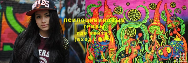 прущие грибы Дмитров