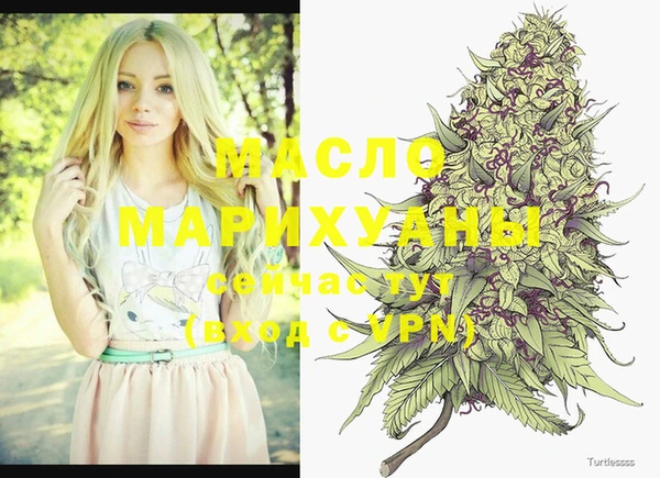 мет Ельня